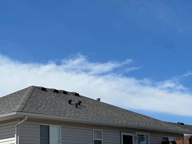 Best Chimney Flashing Repair  in Hudson Bend, TX